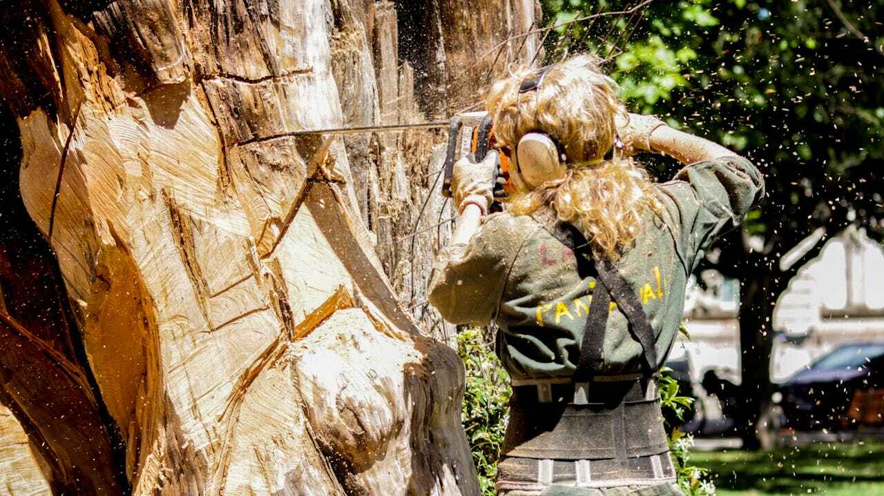 Tree Branch Trimming